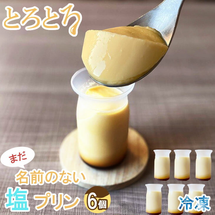 【ふるさと納税】 まだ名前のない塩プリン（6個入り） とろけるプリン プリン 塩プリン 冷凍プリン スイーツ 洋菓子 お菓子 おやつ カラメル ぷりん カスタード 冷凍 デザート 生クリーム 冷凍品 送料無料 【B110-029】