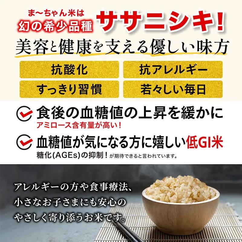 先行予約 ササニシキ 玄米 10kg 令和8年 無農薬 新潟県産 ササニシキ