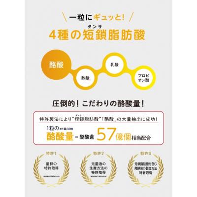 ふるさと納税 岐阜県 ユニラク 短鎖脂肪酸 酪酸 サプリ |  | 03