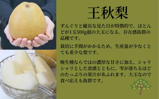 「王秋梨」
濃厚な甘さに加え、シャリシャリという食感。
たっぷりの果汁があふれます。