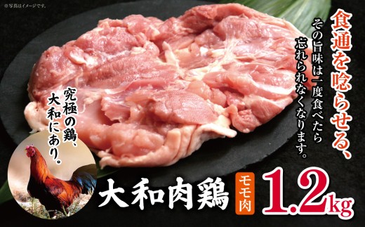 大和肉鶏 モモ肉 1.2kg  |  肉 鶏 大和 鶏肉 かしわ うまみ 料理 和食 洋食 食卓 新鮮 食 フード 高品質 コク おすすめ だし 一貫生産 国産 通販 ギフト 奈良県 五條市