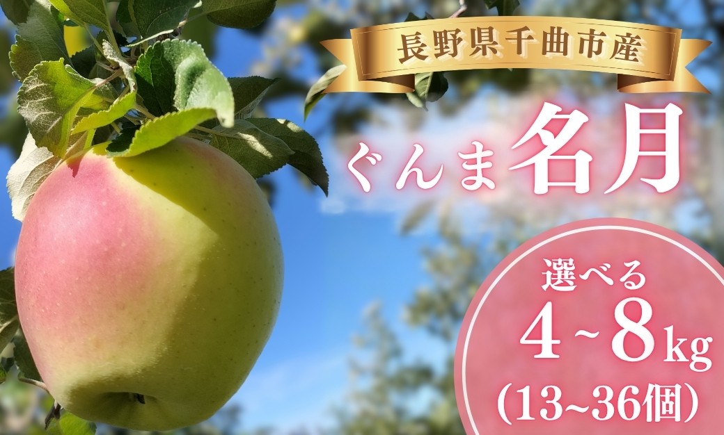 
                  ぐんま名月 約4kg~約8kg (13個~36個) 【半蔵農園】 | ぐんま 名月 りんご 林檎 リンゴ 信州りんご 長野県 千曲市
                