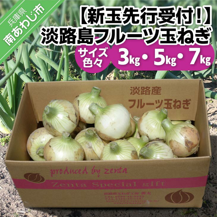 【ふるさと納税】【量が選べる！新玉予約！】サイズ色々・淡路島フルーツ玉ねぎ