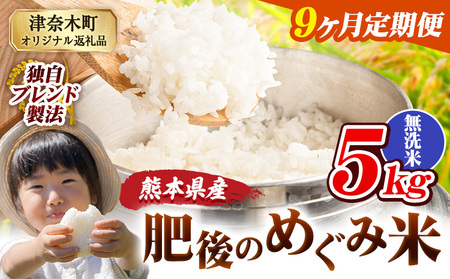【9ヶ月定期便】無洗米 熊本県産 ブレンド米 肥後のめぐみ米 5kg 熊本県産 ふるさと納税 米 こめ ふるさとのうぜい コメ お米 おこめ《お申込み翌月から出荷》