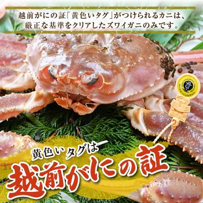 ふるさと納税 あわら市 【先行予約】【3月発送限定】茹で越前がに 1杯 750g〜900g |  | 03