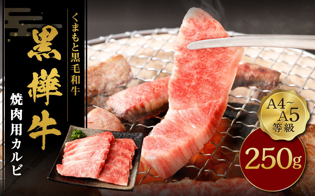 
くまもと黒毛和牛 黒樺牛 A4~A5等級 焼肉用カルビ 約250g
