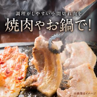 北川産イノシシ肉　N009-ZA590