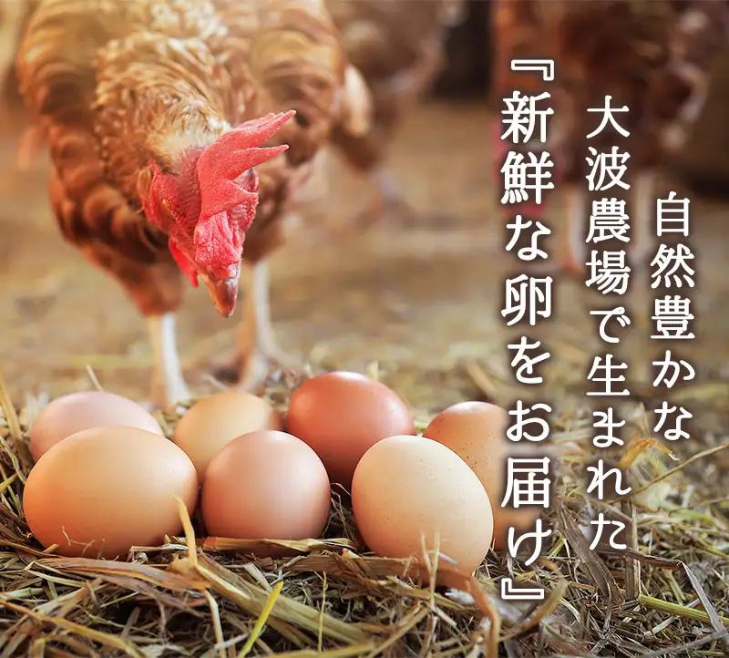 【定期便12か月】 卵 赤たまご 1440個 ： 120個×12回 たまご【配送不可地域：北海道、沖縄、離島】