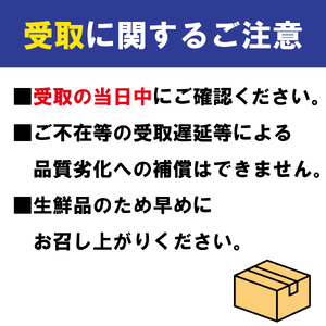 いちご 苺 紅ほっぺ 500g 3月配送 いちご