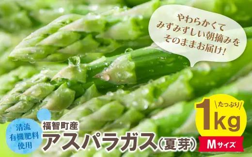 Z18-22-01 寄附額改定↓↓ 清流・有機肥料使用 アスパラガス(夏芽) 1kg(M) 【2026年6月より順次配送開始】 