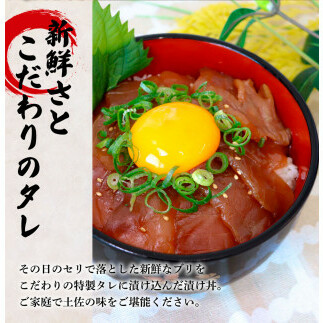 これが魚屋の漬け丼だ！～ブリ～ 《訳あり》 ８０ｇ×１０P ブリ ぶり 鰤 漬け丼 漬け どんぶり 丼 10パック 海鮮 魚 真空パック 個食 個包装 冷凍 配送 訳あり 規格外 不揃い_イメージ2