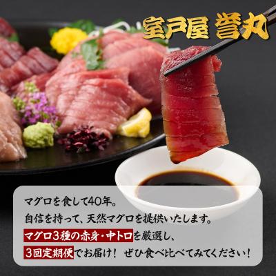 ふるさと納税 室戸市 室戸屋誉丸の厳選マグロ(赤身・中トロ)を定期便で食べ比べ!【3回お届け】 |  | 01