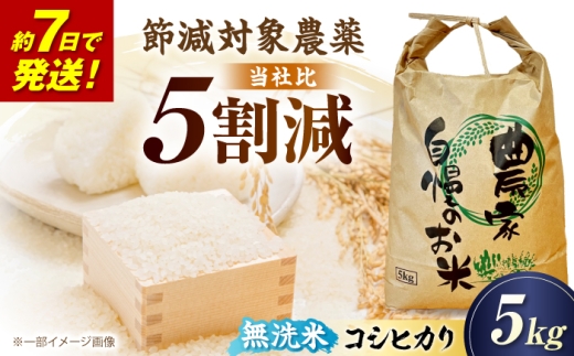 令和8年産 無洗米 コシヒカリ 5kg 新米 米 お米 ご飯 ごはん コメ 白米 ライス むせんまい こしひかり 2026年産 R8産 無洗米5kg 無洗米5キロ 米5kg 5キロ 滋賀県 長浜市 kome okome 滋賀県産 国産 産地直送 滋賀県長浜市/狩野農園 [AQDK003]