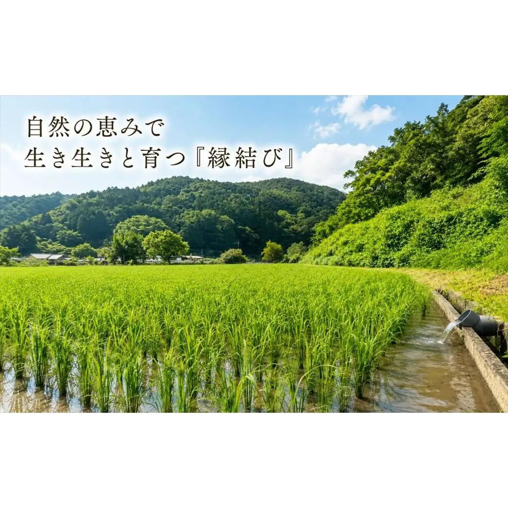 【早期予約 10月上旬から順次出荷】令和8年産 新米 精米 兵庫県産 縁結び 10kg (5kg×2袋) ご縁米
