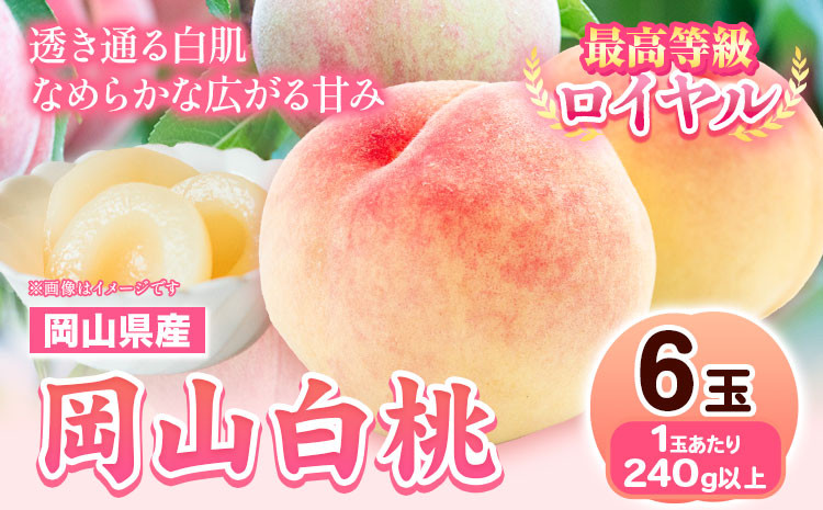 
            224. 【先行予約】岡山県産 岡山白桃  6玉 (240g以上)【配送不可地域あり】 《7月上旬-8月末頃に出荷予定(土日祝除く)》 岡山県 矢掛町 桃 もも 白桃 果物
          