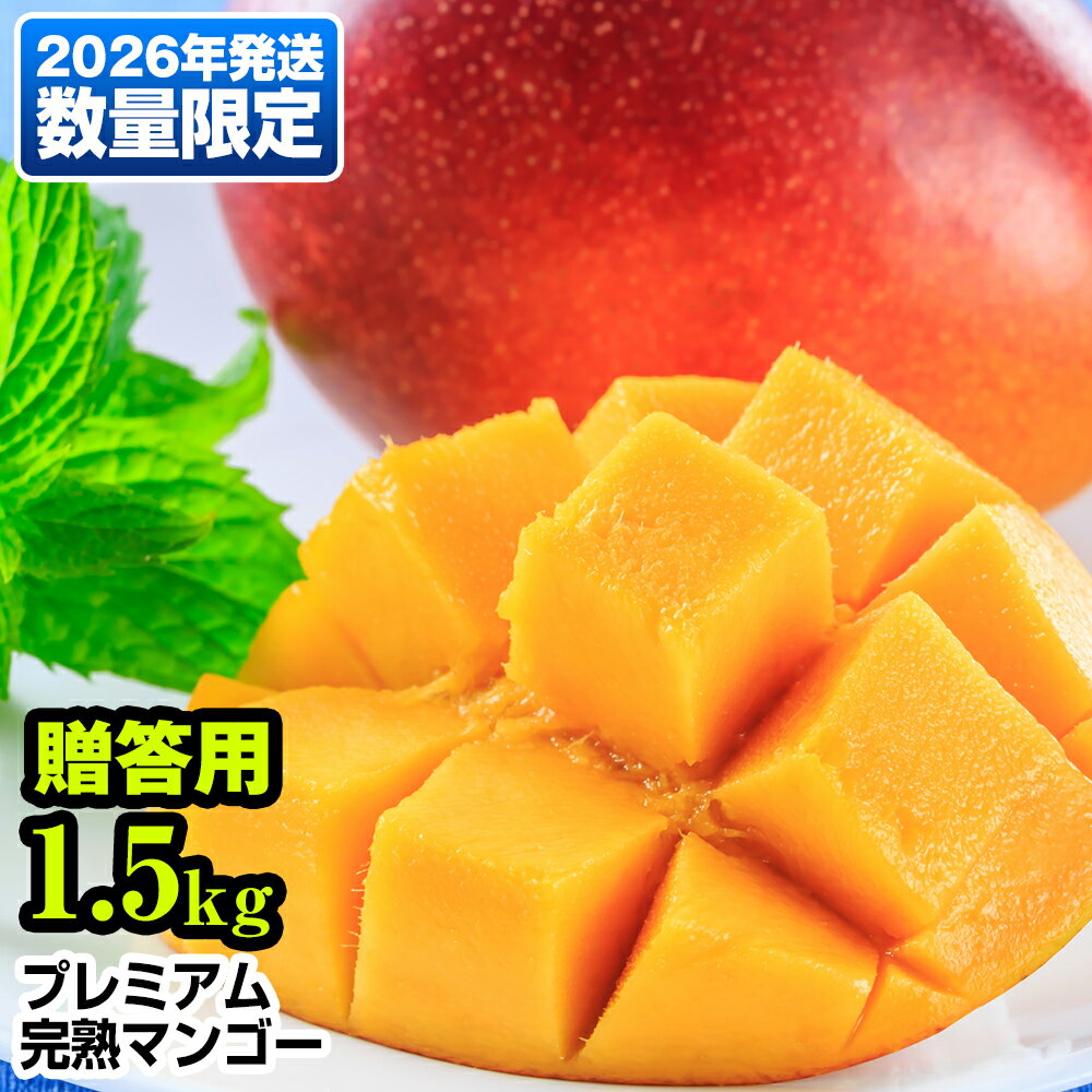 【ふるさと納税】【2026年発送】数量限定！プレミアム完熟マンゴー1.5kg　贈答用