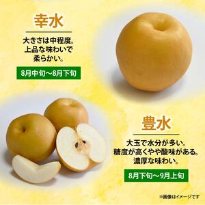 【 オンライン決済限定 】 梨 藤里梨 3kg ( 6玉 ~ 9玉 )  | 梨梨梨梨