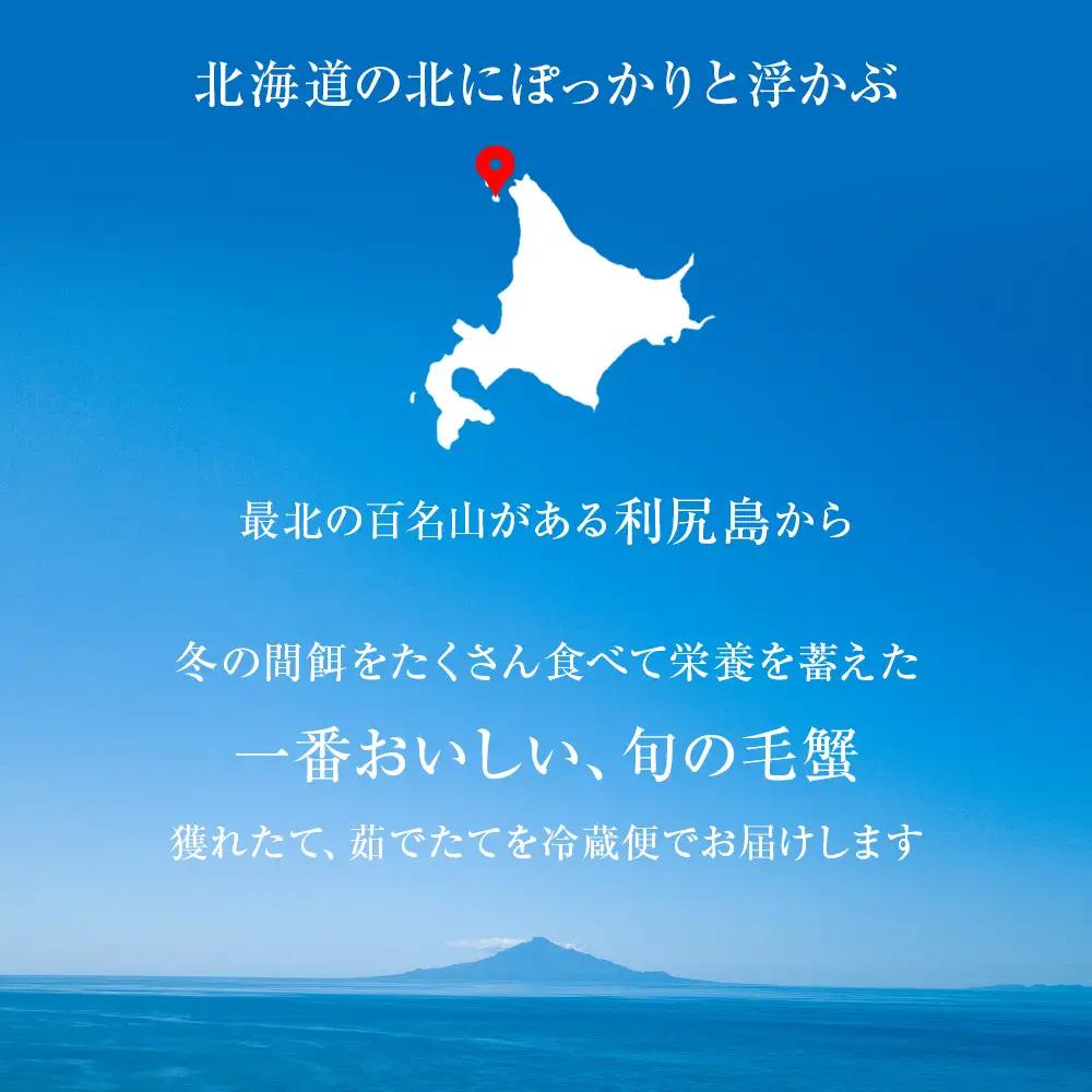 【2027年発送予約】チルドでお届け！ 浜茹で毛ガニ特大２尾（不揃い合計約1.6kg） 〈福士水産〉