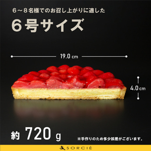 【着日指定可】クリスマスケーキ 苺 のコンポート タルトケーキ 6号 直径19cm 6人～8人分 720g 【クリスマス飾り付】 スイーツ ギフト いちご | デザート ケーキ お菓子 洋菓子 冷凍 