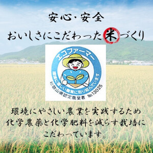 【令和5年度産】米ミルキープリンセス　5kg(令和5年10月～発送)【1217320】