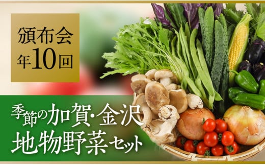 ★【全10回】JA金沢市 季節の加賀野菜・金沢地物野菜セット頒布会（毎月１回） 石川 金沢 加賀百万石 野菜 やさい リピーター 人気 産地直送