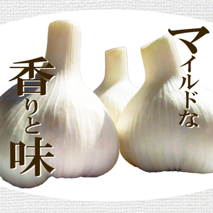 にんにく 乾燥 国産 1kg 【先行予約】保存食 乾燥にんにく