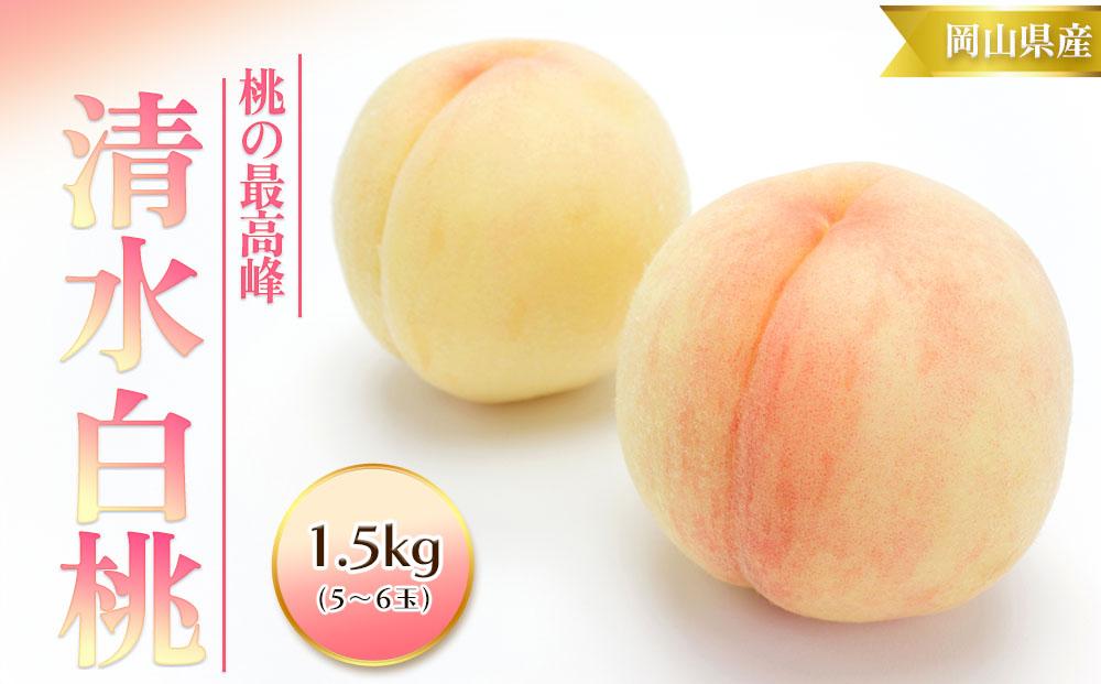 桃 2025年  清水 白桃 1.5kg 5～6玉 もも モモ 岡山 国産 フルーツ 果物 ギフト 桃茂実苑