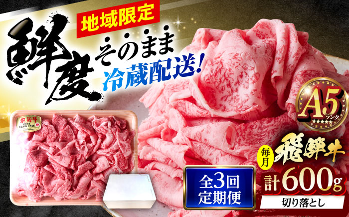 【3回定期便】 ※冷蔵配送/地域限定※ 飛騨牛 切落し (ロースまたは肩ロース) 600g 瑞浪市 / きなぁた瑞浪 和牛 国産 岐阜県産 [AZCI077]
