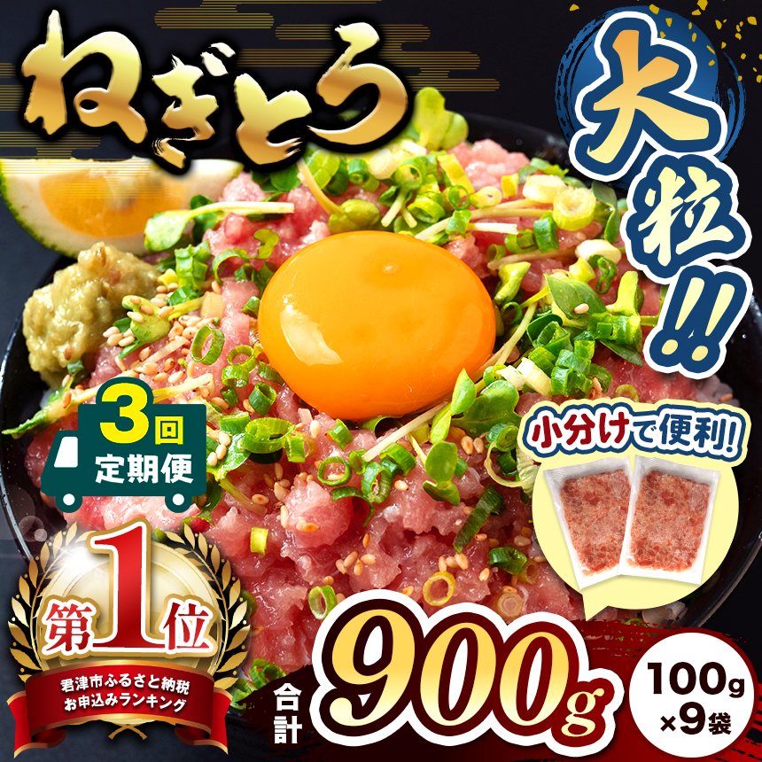 【定期便・3ヶ月】＼ 新登場！小分け 100g パック ／ 清幸丸水産 大人気！ねぎとろ（100g×9袋）900g | ネギトロ とろ 鮪 海鮮 魚介 魚 人気 小分け 人気 定番 ご飯 オススメ 千葉県 君津市 きみつ