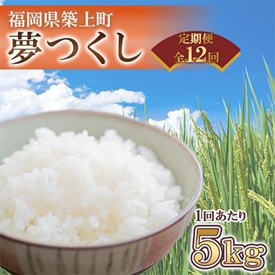 ふるさと納税 築上町 【毎月定期便】夢つくし　5kg　福岡県築上町産全12回