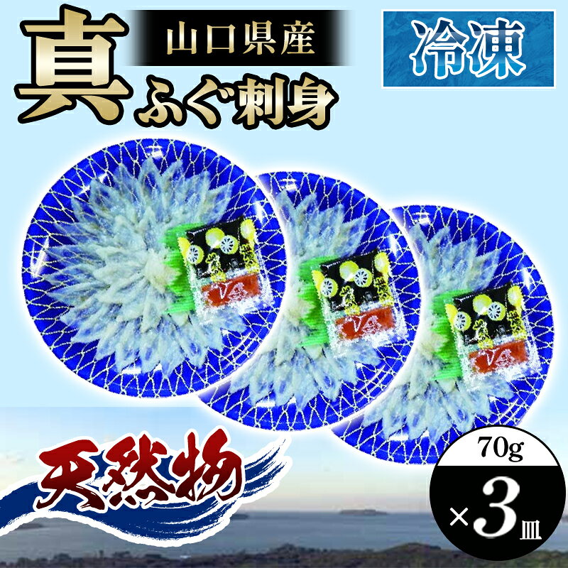 【ふるさと納税】山口県産 真ふぐ 刺身 210g (70g×3皿) 国産 日本産 食品 グルメ 料理 おかず 惣菜 お弁当 非常食 保存食 ご飯のお供 ごはん ご飯 食卓 山口県 萩市 美味しい おいしい プレゼント ギフト プチギフト 贈り物 お中元 人気 おすすめ 贈答用 誕生日プレゼント
