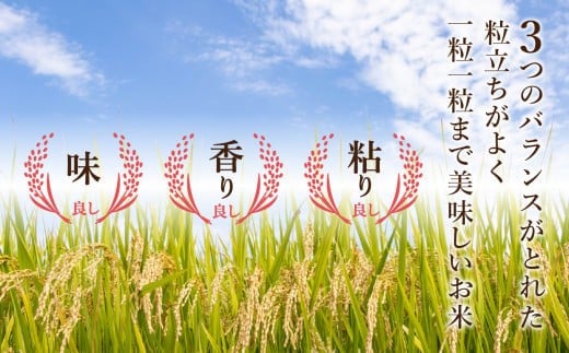 【先行予約】【定期便】令和8年産 小松産こしひかり 精米 5kg×12ヶ月（毎月） 米 お米｜石川県 小松市 ＪＡ小松市