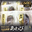 【ふるさと納税】あわび 100g×6個 600g 石巻産 冷凍 アワビ 鮑 貝 awabi 刺身 姿煮 アワビ煮貝 お刺身 煮貝 生食 海鮮 魚介 おつまみ おかず 酒の肴 海の幸 高級海鮮 おせち アワビステーキ お取り寄せ グルメ 詰め合わせ セット ギフト お歳暮 贈答 宮城県 石巻 石巻市