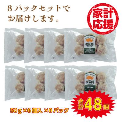 ふるさと納税 多古町 千葉県産三元豚 大粒肉焼売 46個(2.4kg)元気豚100%使用 冷凍 |  | 01