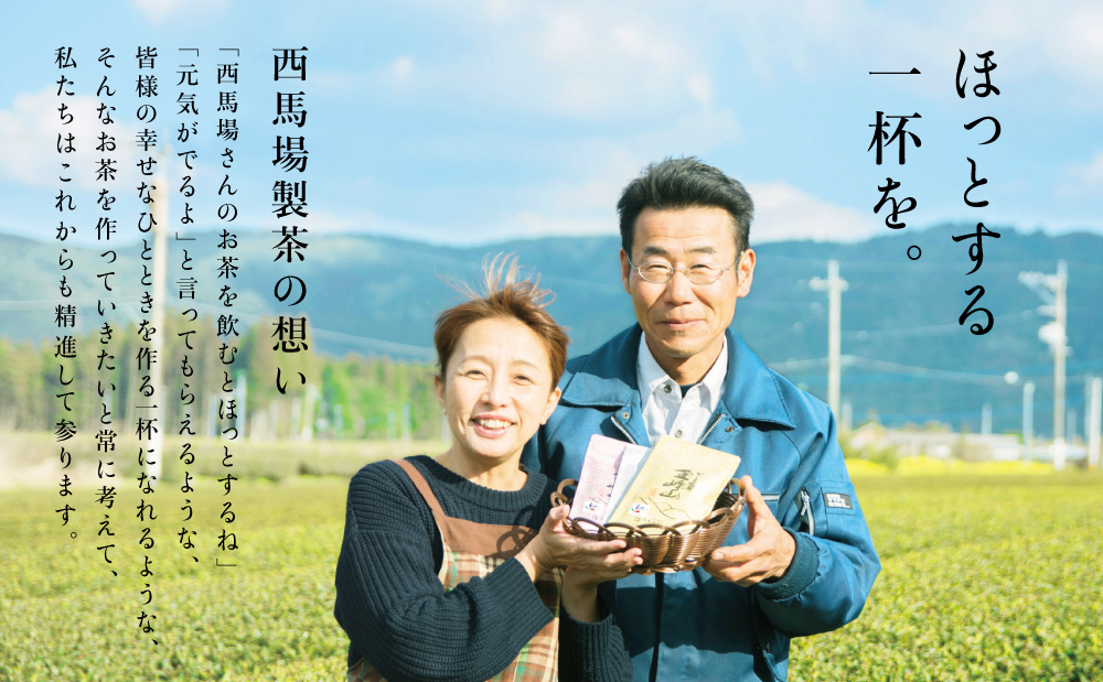 【新茶】 初摘み茶 3本セット ＜2026年：5月中旬出荷開始＞ 西馬場製茶 先行予約 先行受付 鹿児島県産 緑茶 かごしま茶 お茶 日本茶 茶葉 煎茶 旬 季節 リーフティー ティータイム 飲み物 