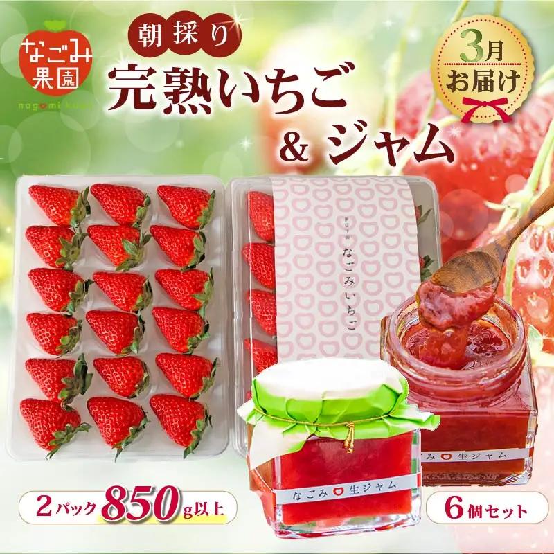 【2027年3月発送】いちご 完熟 2パック なごみジャム 6個 セット 紅ほっぺ