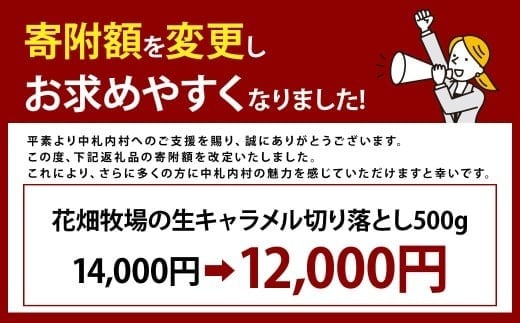 【訳あり】花畑牧場の生キャラメル 切り落とし 約500g