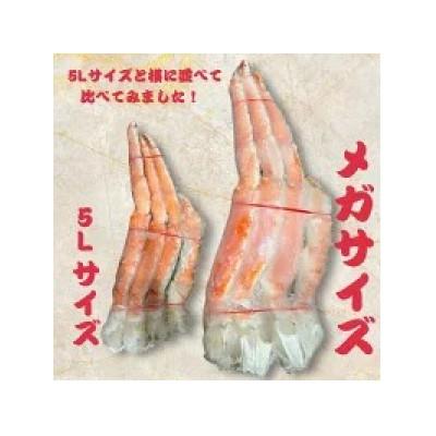 ふるさと納税 泉南市 【極太メガサイズ】生たらば蟹 生肩 約5kg(約2.5kg2肩) ふるさと納税3.0 |  | 02