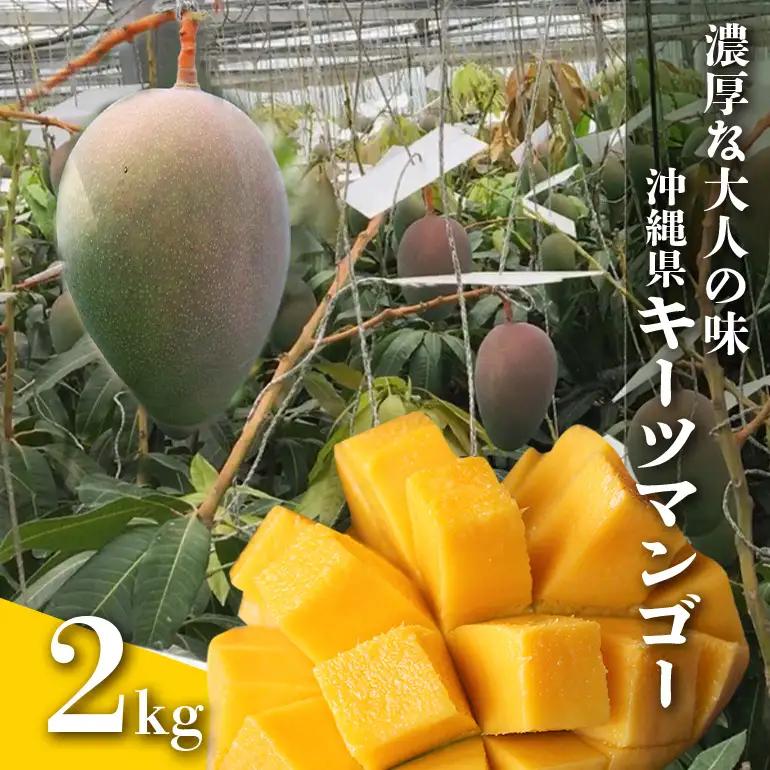 【 先行予約 2026年 発送 】 濃厚な大人の味 沖縄県「 キーツマンゴー 」2kg 沖縄県産 マンゴー 2キロ 緑色 希少 国産 果物 南国 くだもの フルーツ 夏 旬 特産品 沖縄 お取り寄せ 産地直送 農家直送 甘い かしみ園 濃厚 糸満市 18-1