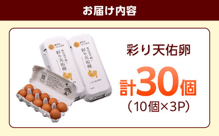 卵 彩り天佑卵平飼いたまご30個 [AIDL001]