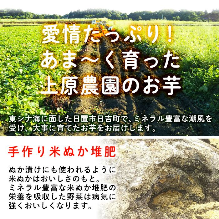 No.892 <訳あり・規格外>栽培期間中農薬不使用 甘熟さつま