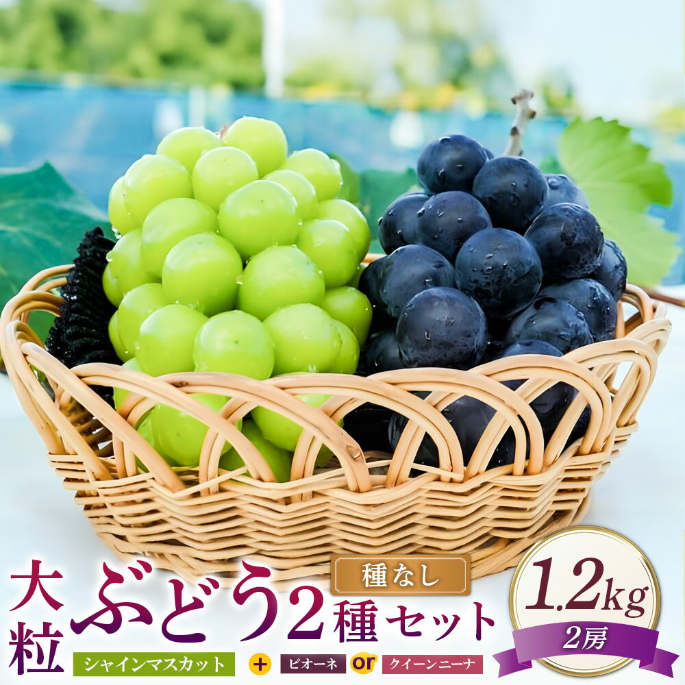 【ふるさと納税】大粒 ぶどう 2種 セット シャインマスカット 他 2房 約1.2kg ピオーネ または クイーンニーナ マスカット ぶどう ブドウ 葡萄 種なし 果物 くだもの フルーツ 詰め合わせ おやつ デザート 常温 岡山県 美咲町 送料無料【2025年10月上旬～12月上旬発送予定】