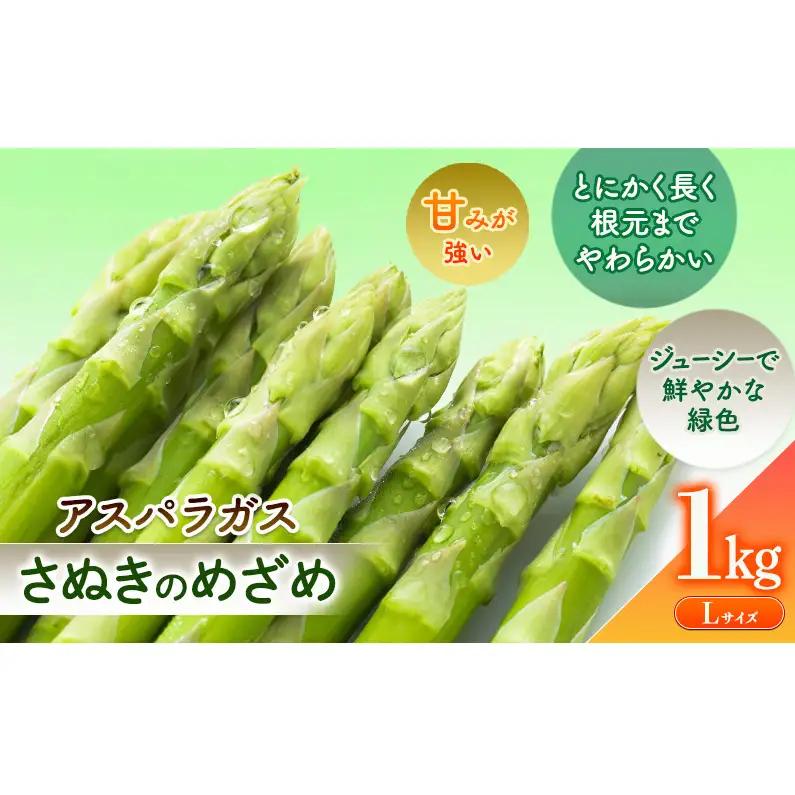 アスパラ さぬきのめざめ 砂川さん特選 香川県産 アスパラ【1kg Lサイズ】