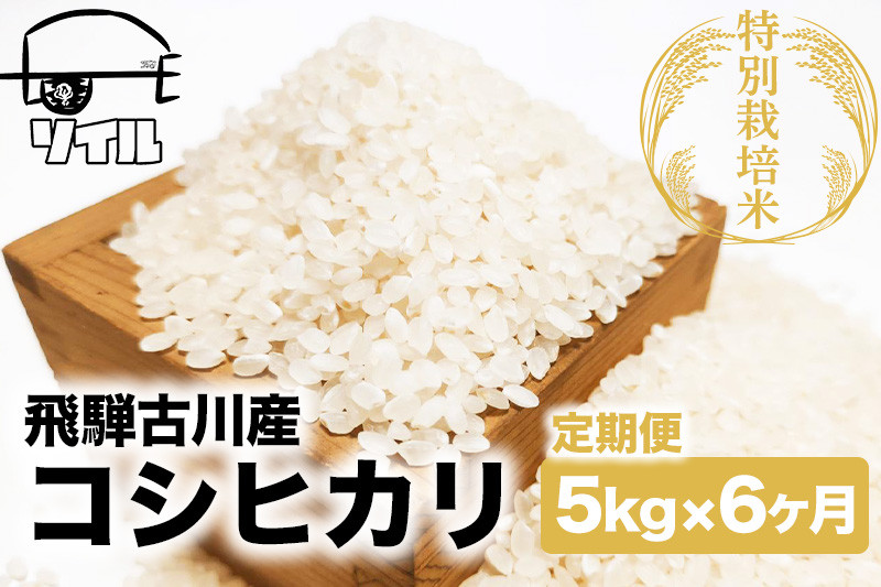 
            【2025年先行予約 10月から発送】令和7年産 米 定期便 こしひかり 6か月 5kg 米 定期便 6回 コシヒカリ 飛騨古川産 特別栽培米 こしひかり 5kg 特A ソイル
          
