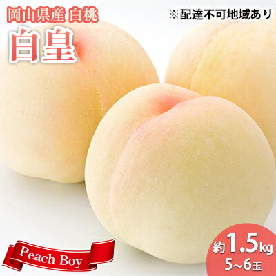 【ふるさと納税】【 2026年 先行予約】 桃 岡山県産 白皇 （ 白桃 ） 約1.5kg （5～7玉） 白桃 岡山 はくとう スイーツ フルーツ 果物 先行予約 数量限定 期間限定 里庄町 モモ もも 　お届け：2026年8月中旬～2026年8月下旬