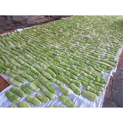 ふるさと納税 筑紫野市 【酒蔵の手造りの味】玉出泉　奈良漬　計3kg |  | 02