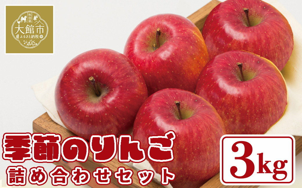 【数量限定・期間限定】陽気な母さんの季節のりんご詰め合わせセット　3kg　50P3427