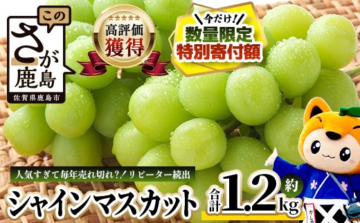 
                  【特別寄付額10000円→9000円】【先行予約】シャインマスカット 約1.2kg ご家庭用 冷蔵発送【2026年8月上旬以降発送】 B-658
                
