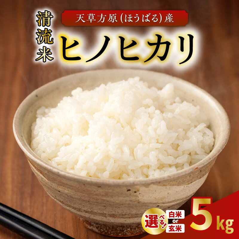 【ふるさと納税】【先行受付】 天草産 ヒノヒカリ 5kg 選べる 白米/玄米 単一原料米 食品 常温 お米 米 ごはん ご飯 おにぎり 弁当 おいしい 国産 九州産 熊本県産 熊本県 天草市 宮本農園 平家落人伝説もある山間地 お取り寄せ 送料無料