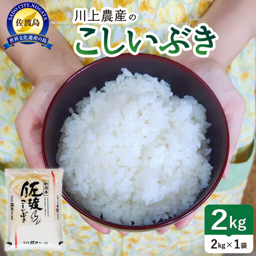 【レビューキャンペーン実施中！】令和7年産 佐渡 川上農産のこしいぶき（2kg）